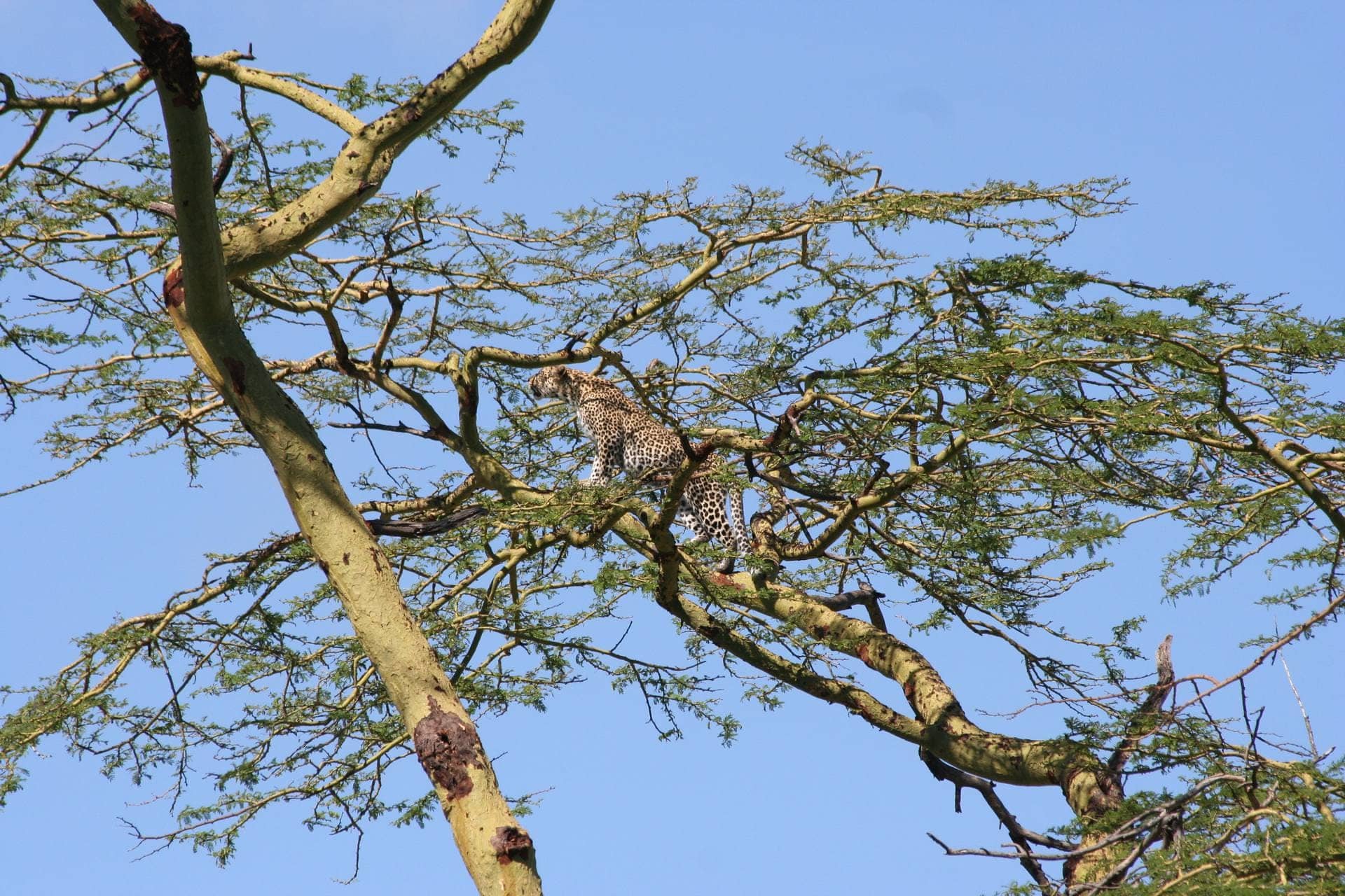 Serengeti National Park