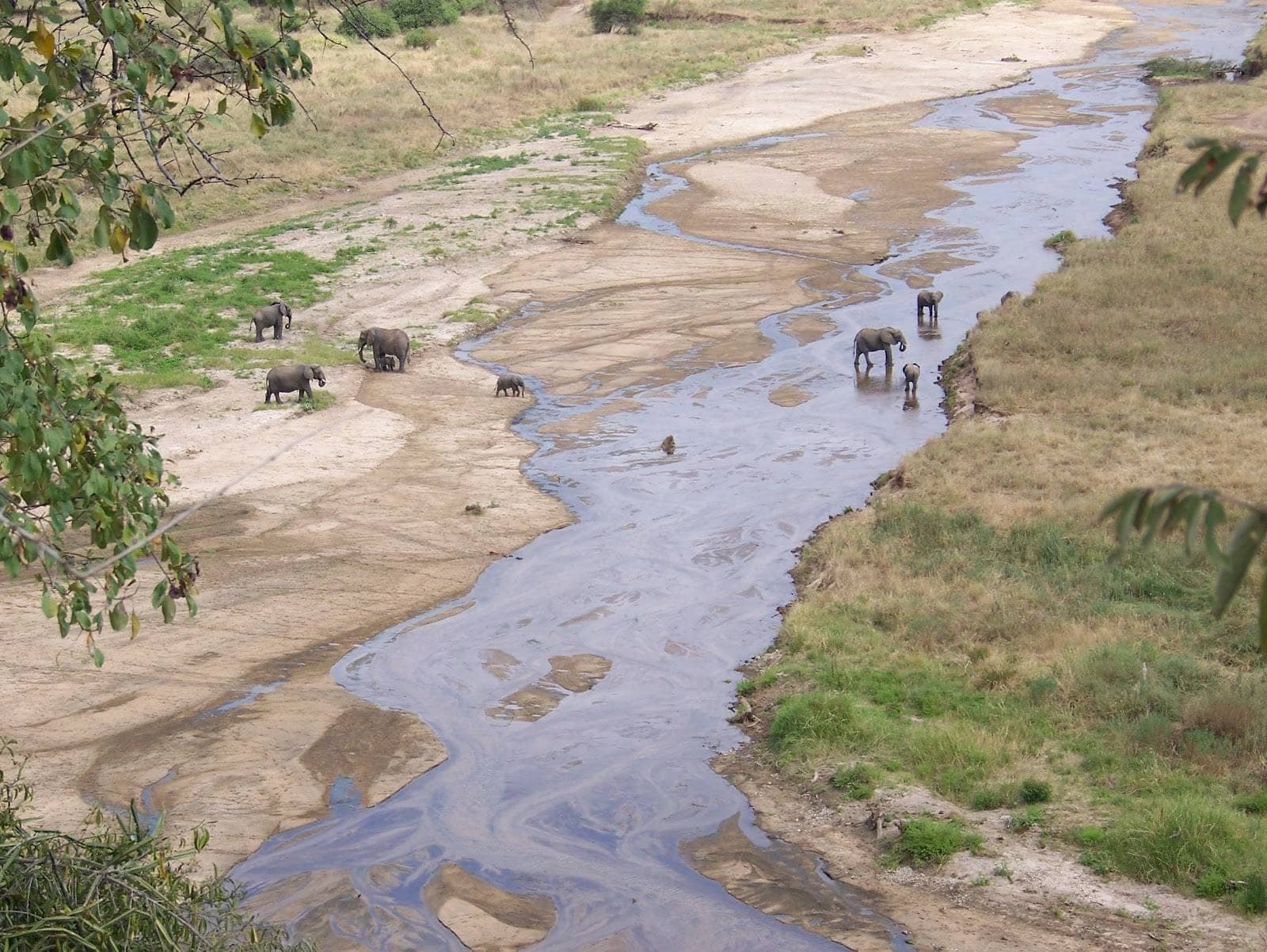7 Days Tarangire, Ngorongoro, Serengeti, Lake Natron and Manyara Safari