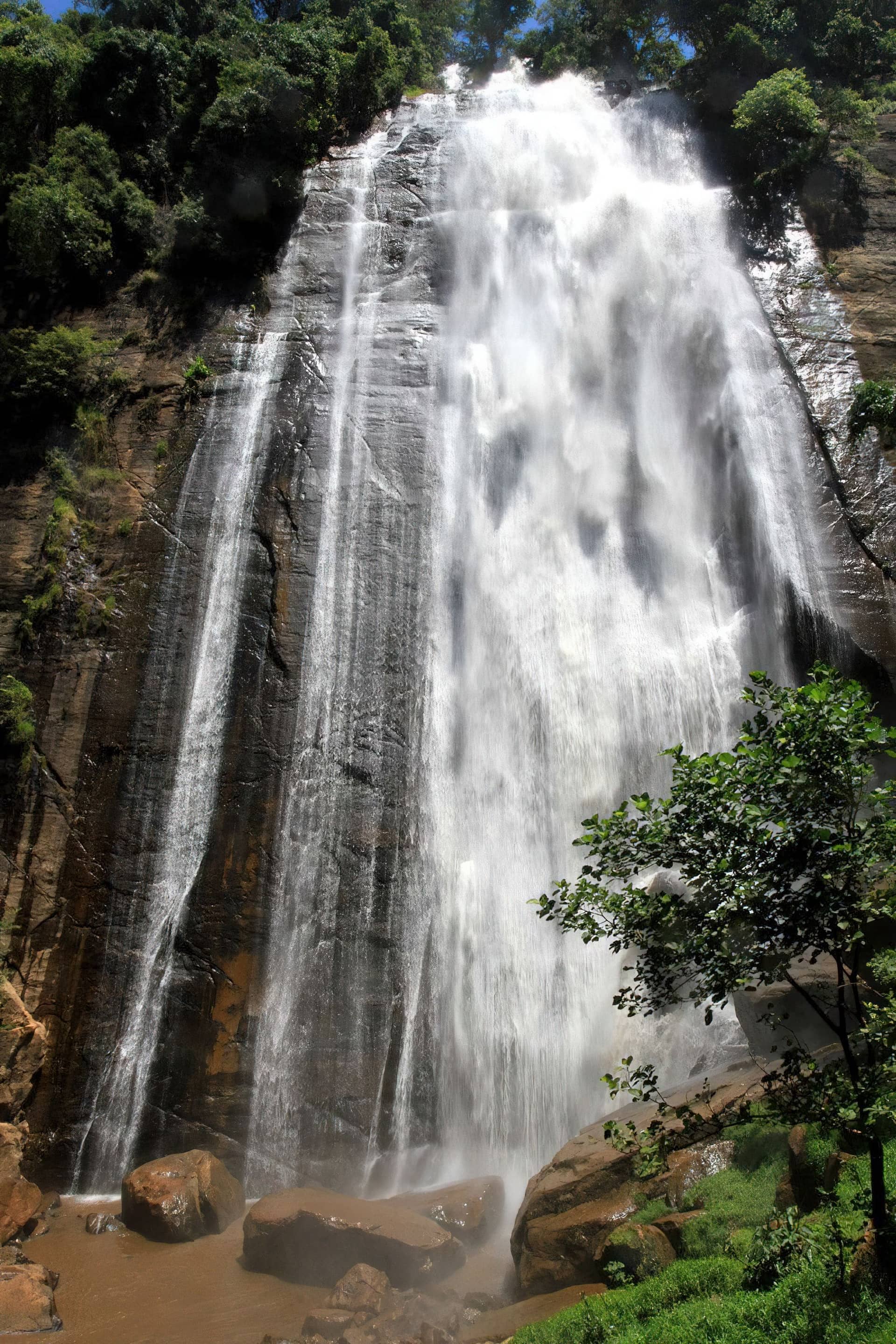 Day Trip to South Pare Mountains