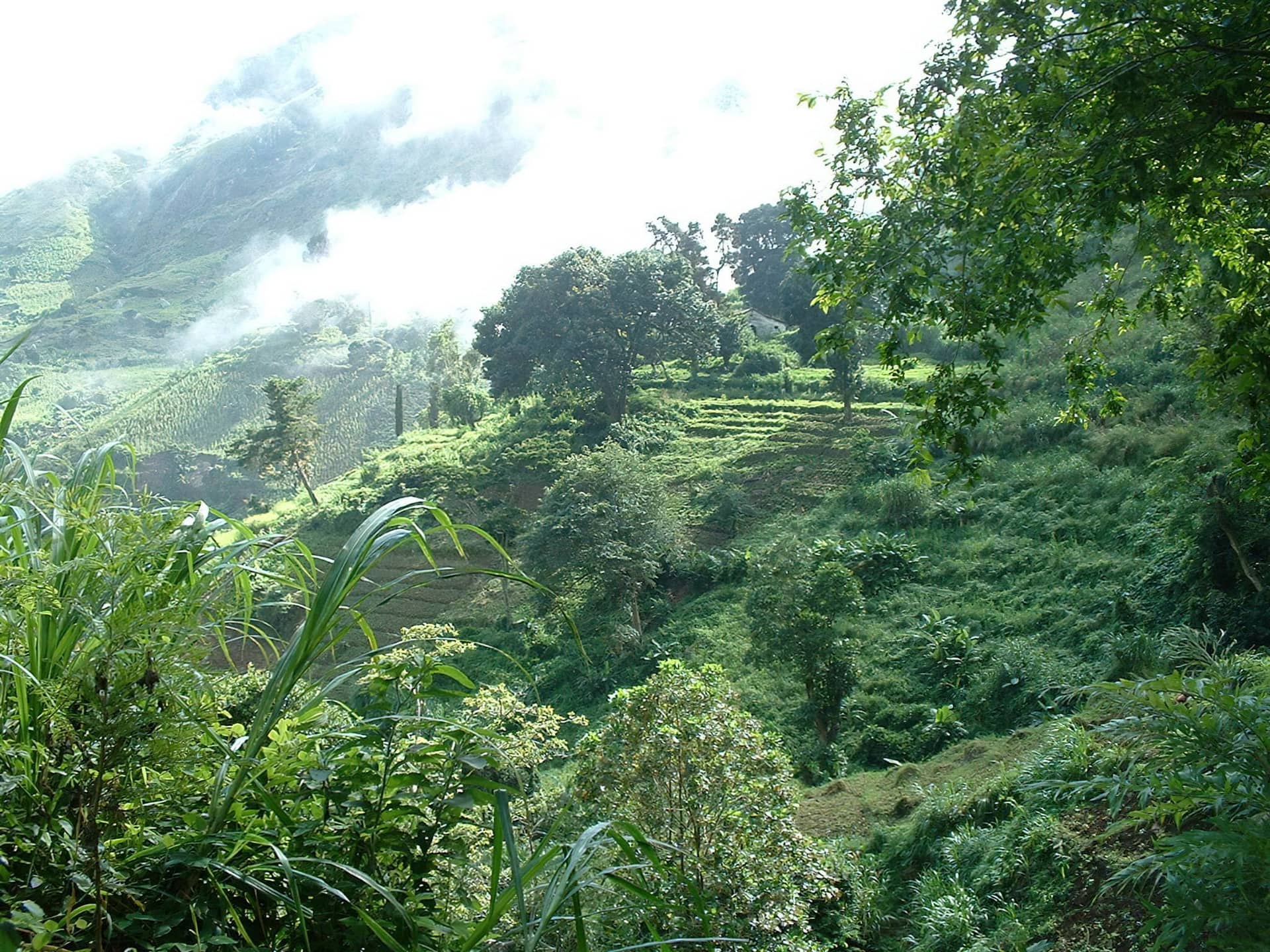 Day Trip Hiking to Uluguru Mountains & Choma Waterfalls