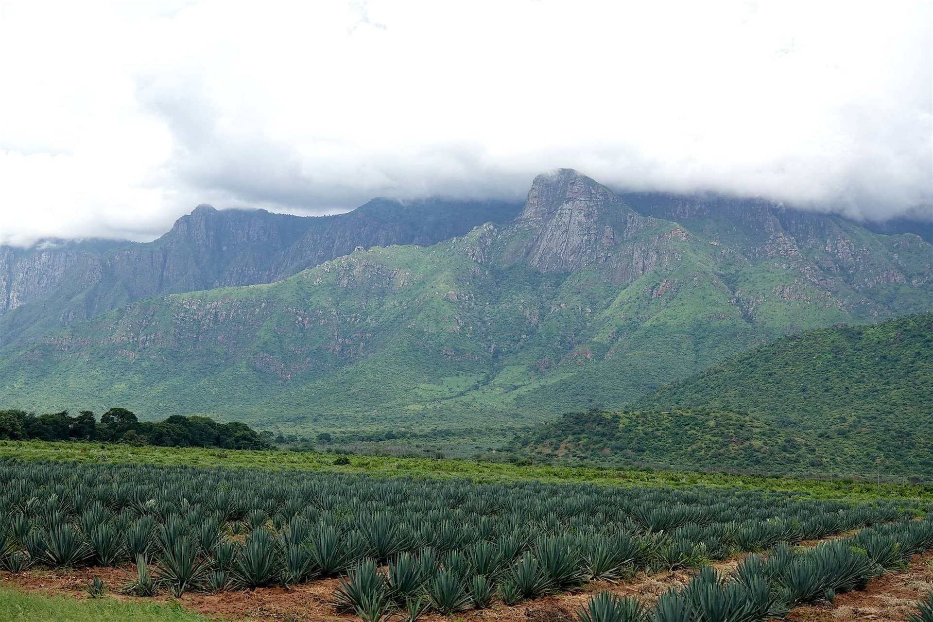 Usambara Mountains