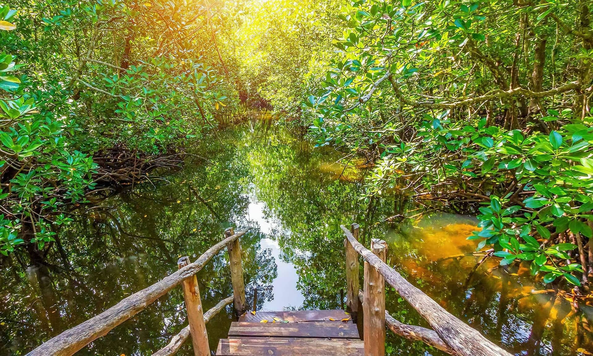 Zanzibar Island
