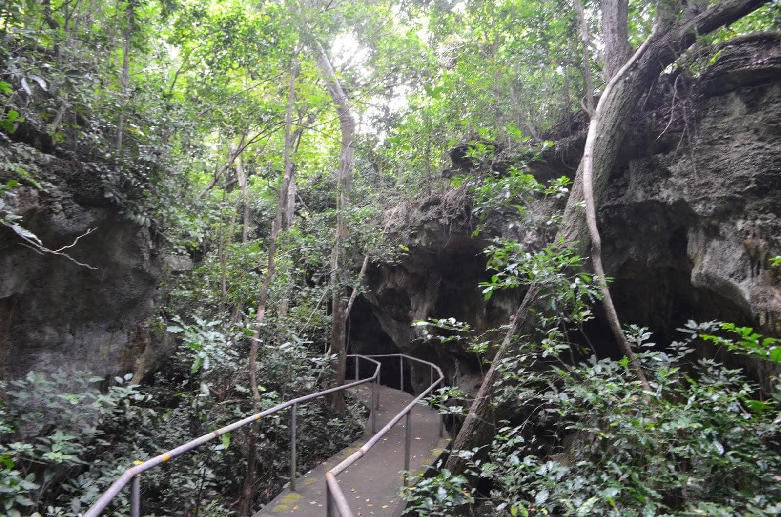 Kiwengwa Cave, Zanzibar