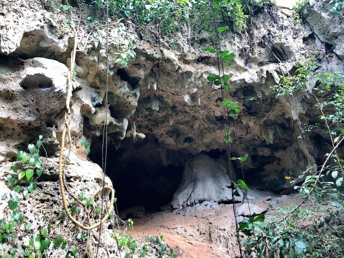Kiwengwa Cave, Zanzibar