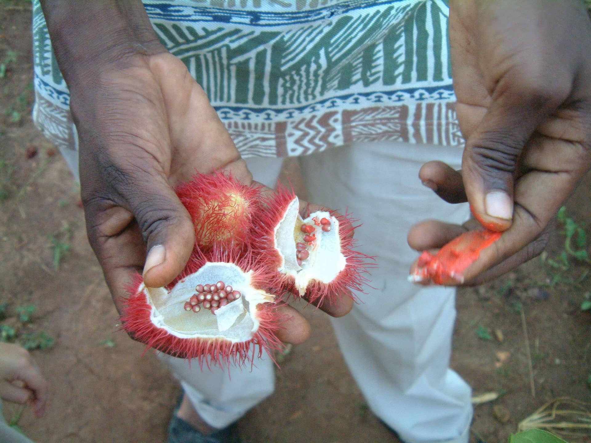 Spice Tour, Zanzibar