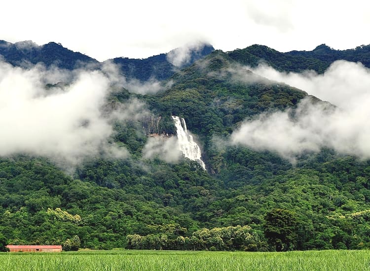 Udzungwa Mountains – photo 2