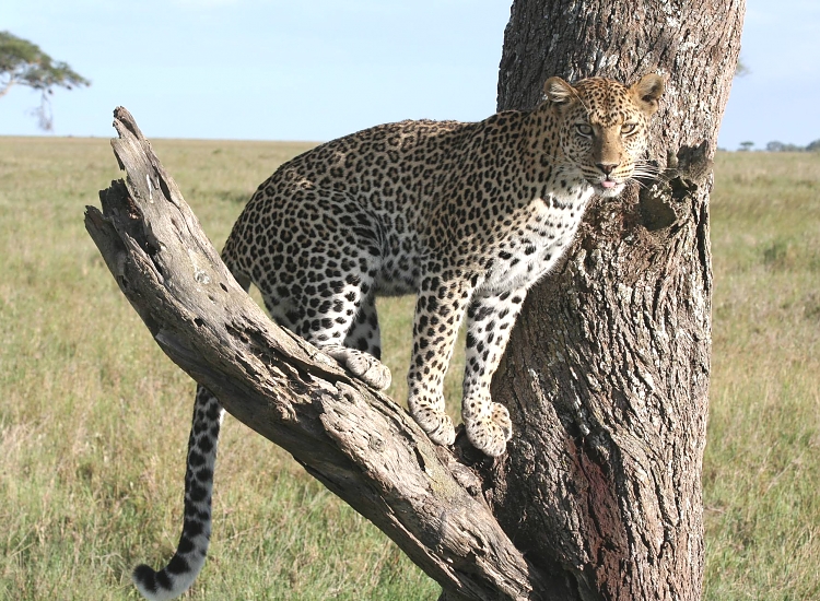 Udzungwa Mountains – photo 3