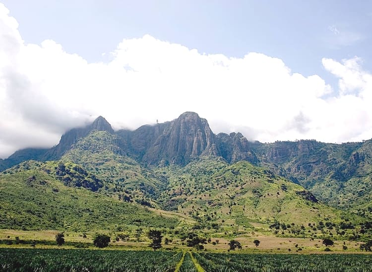 Usambara Mountains – photo 1