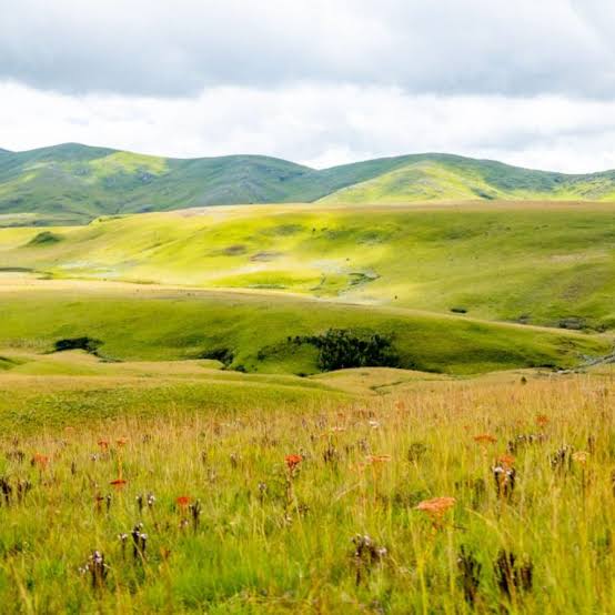 2 Days Kitulo to Mbeya Highlands