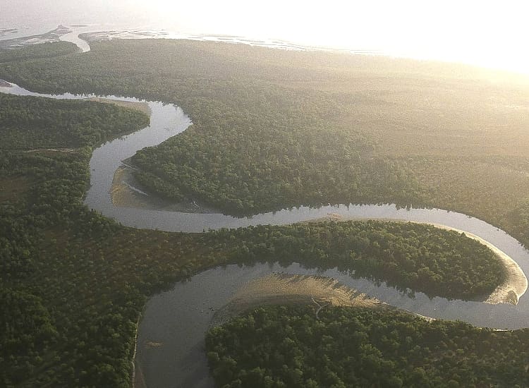 Saadani National Park – bush and beach