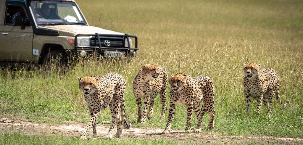 3 Days Budget Mikumi Safari by SGR Train