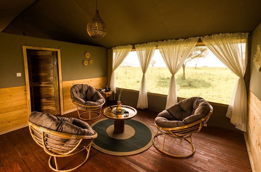 7 Days Northern Tanzania Wildlife Safari