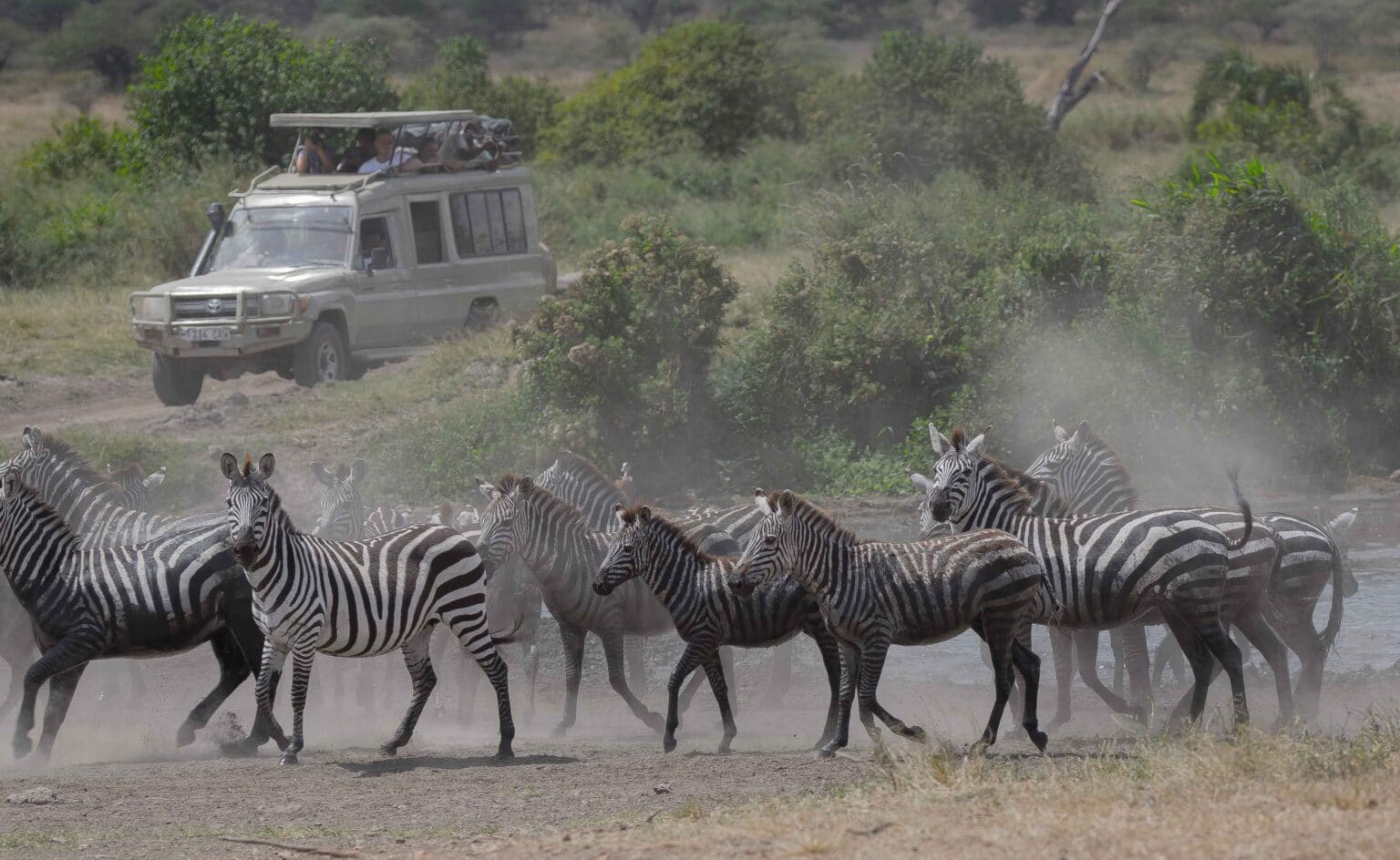 7 Days Northern Tanzania Wildlife Safari