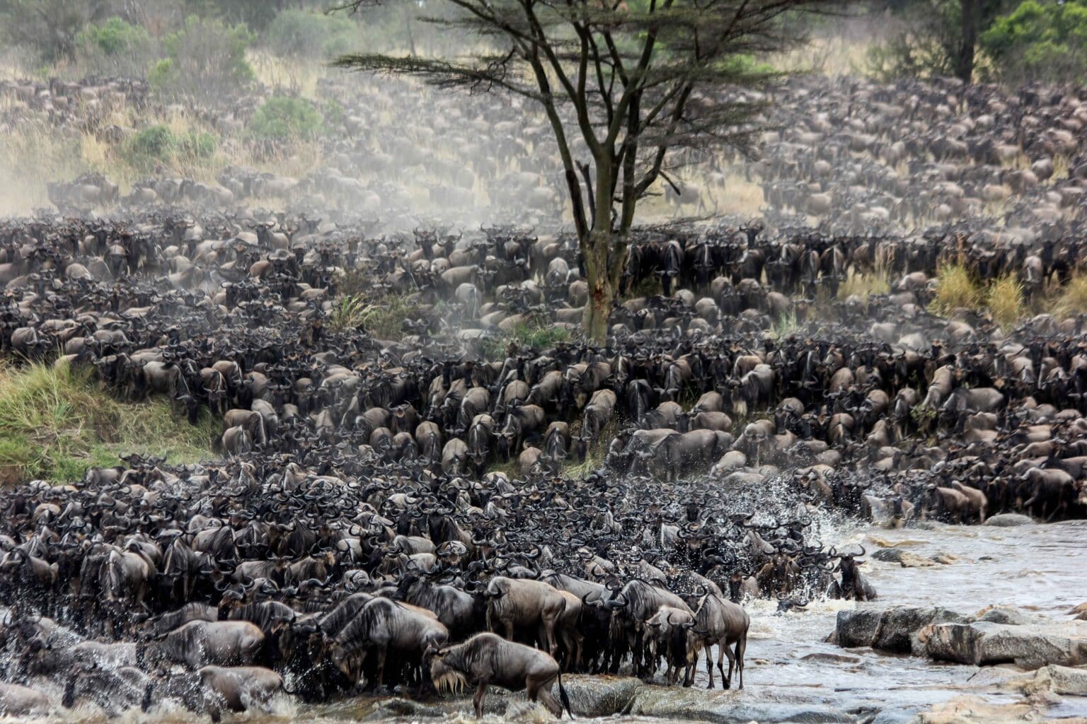 7 Days Serengeti Great Migration Safari