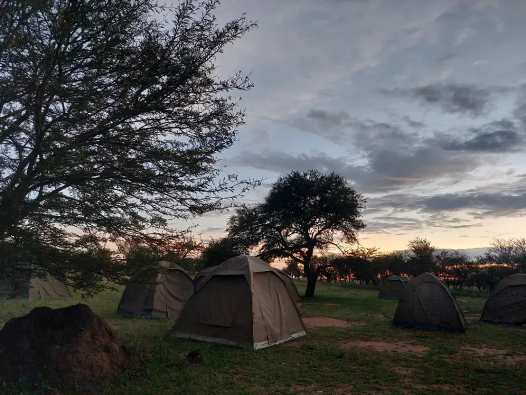 5 Days Budget Safari – Tarangire, Serengeti, Ngorongoro & Materuni