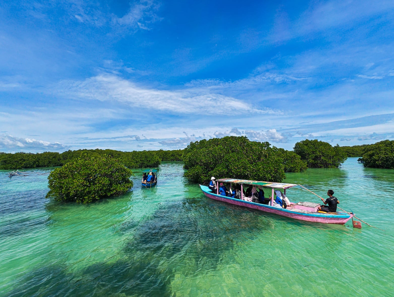 Mangrove kayaking Pemba Island