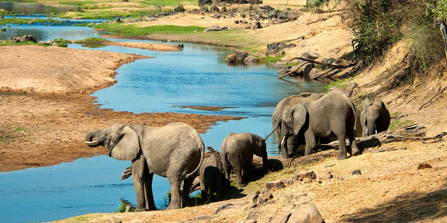 Multi-day safari across Tanzania national parks