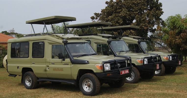 Wild Gaze Safaris rental fleet lined up