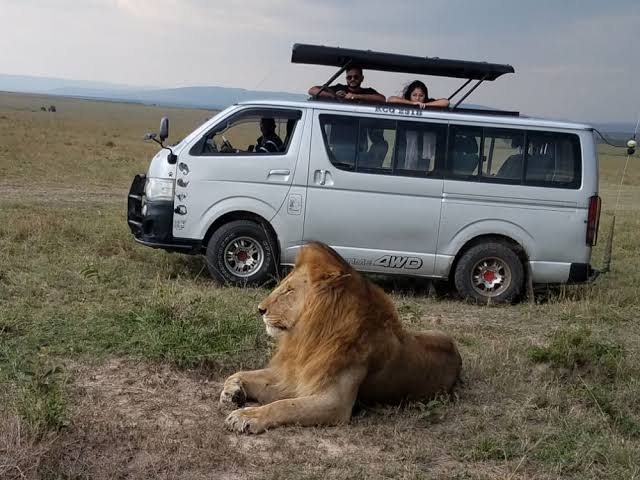 Safari mini bus for groups