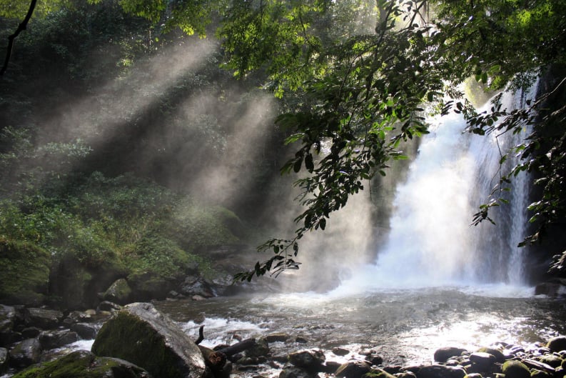 Udzungwa Mountains