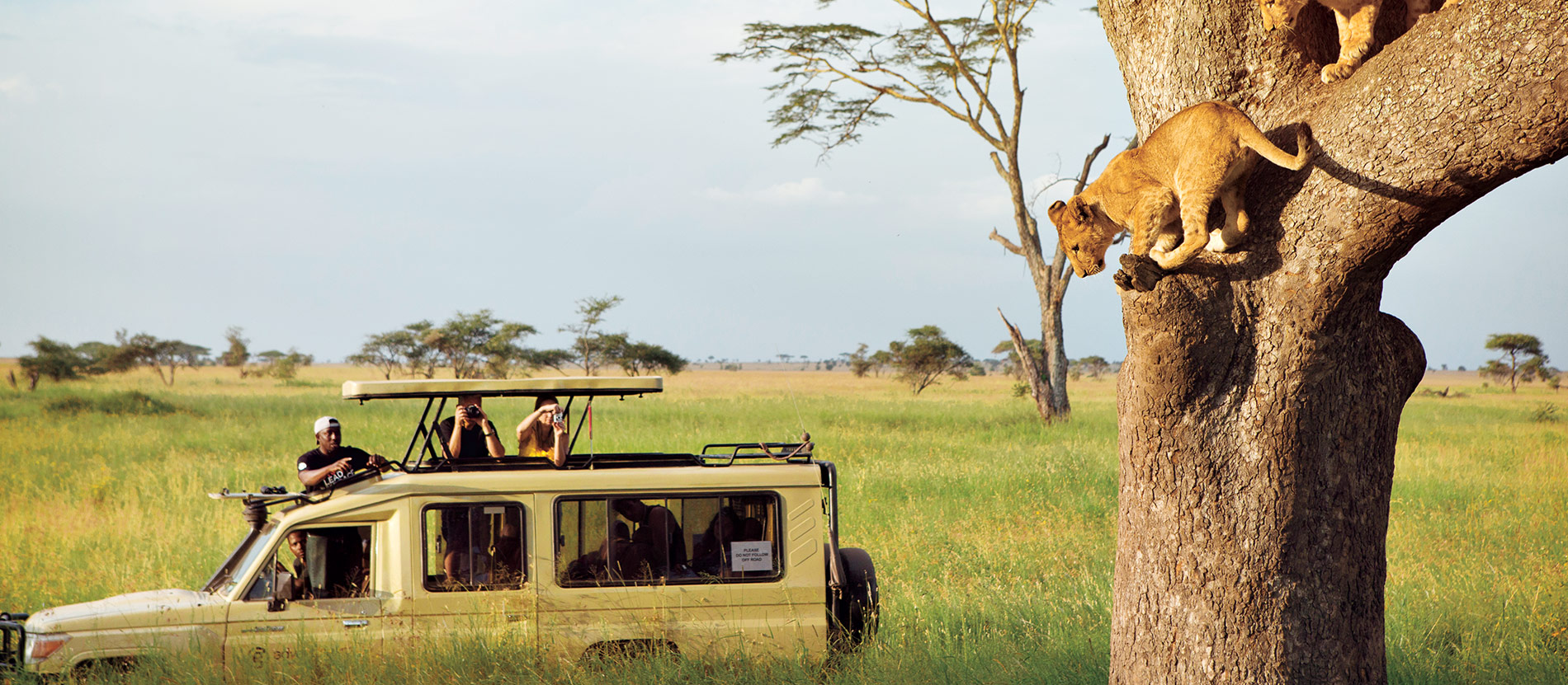 Western circuit safari destinations in Tanzania
