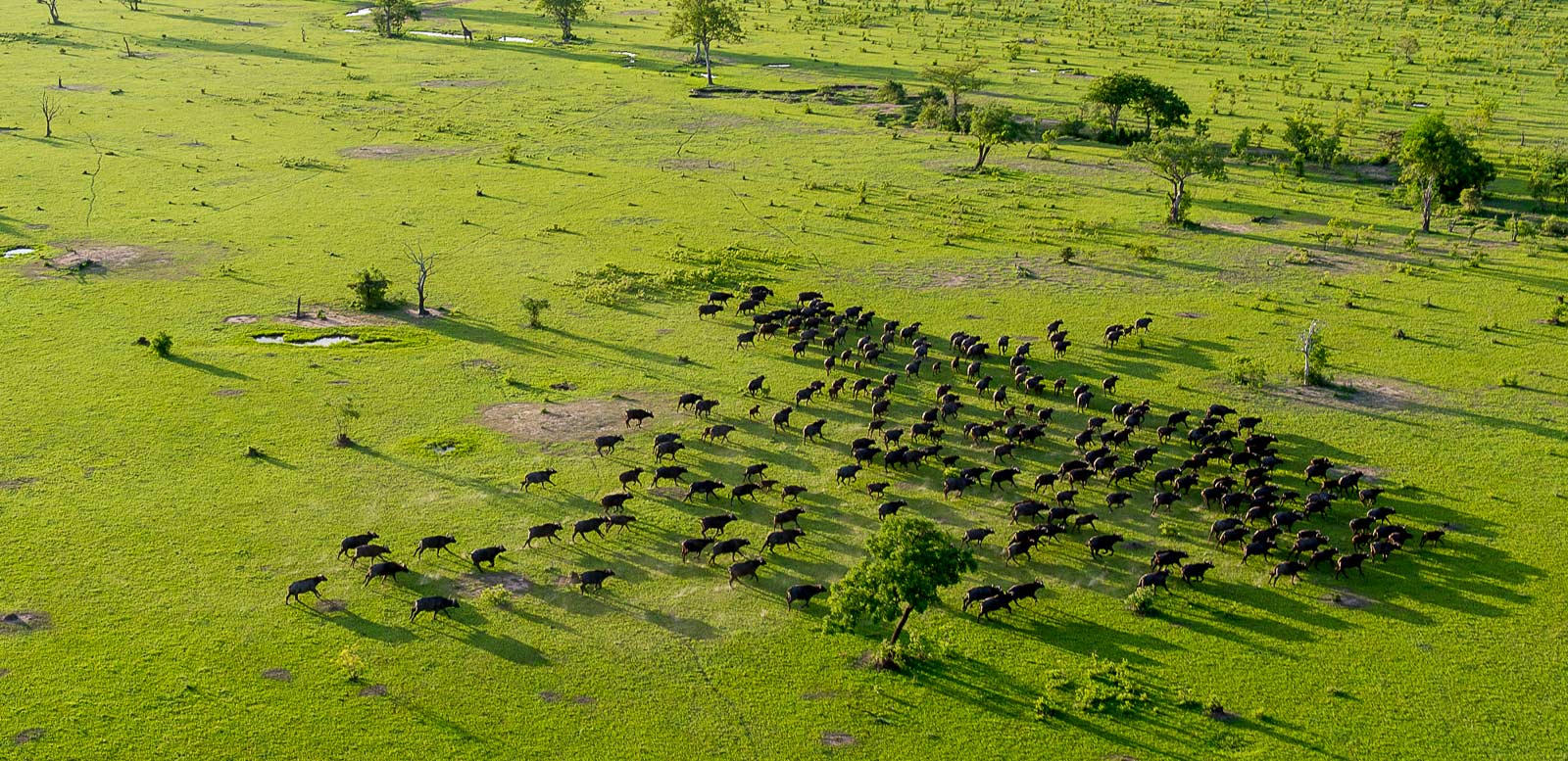 10 Days Southern Tanzania Safari