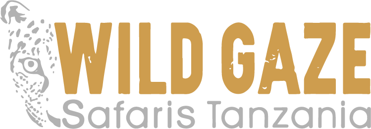 Wild Geza Safaris Tanzania Logo