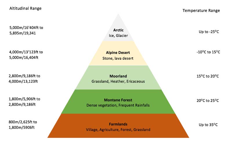 Unveiling Kilimanjaro's Temperature Zones