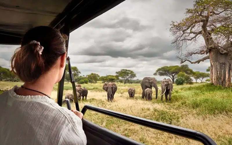 Why Tanzania is the One of the Top Country for Solo Females travelers