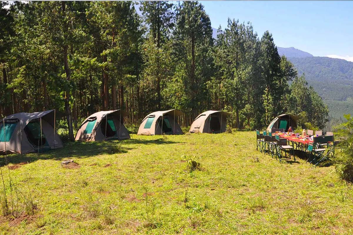 tanzania camping safari