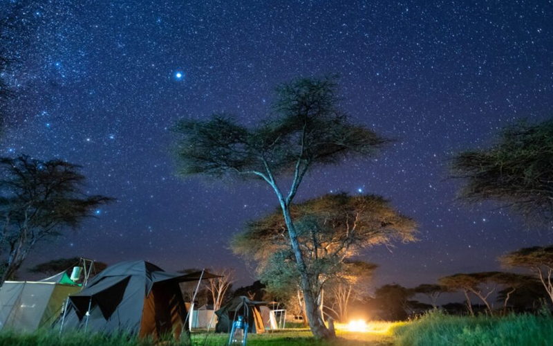 A Night Game Drive In Serengeti

