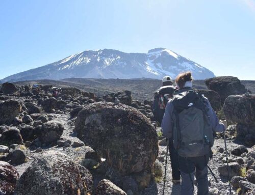 Best Time to Climb Kilimanjaro