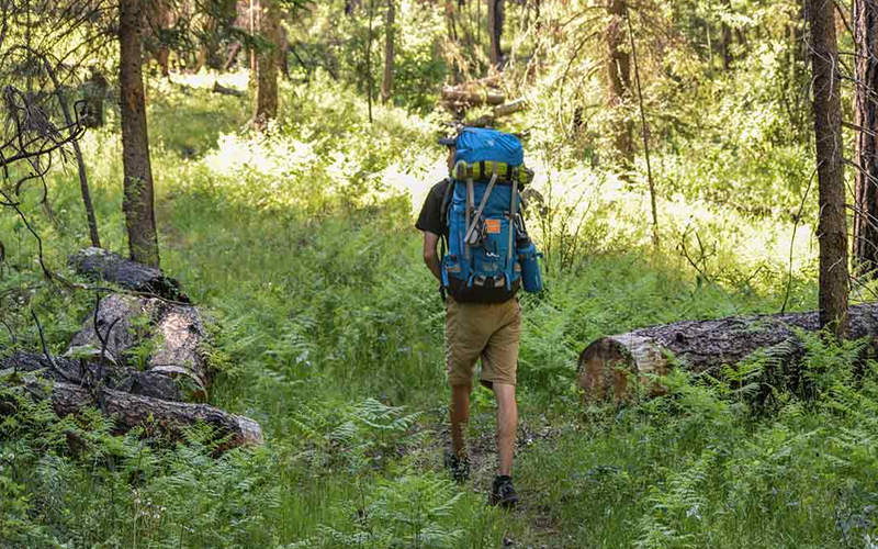 Can You Hike Kilimanjaro With Kids?