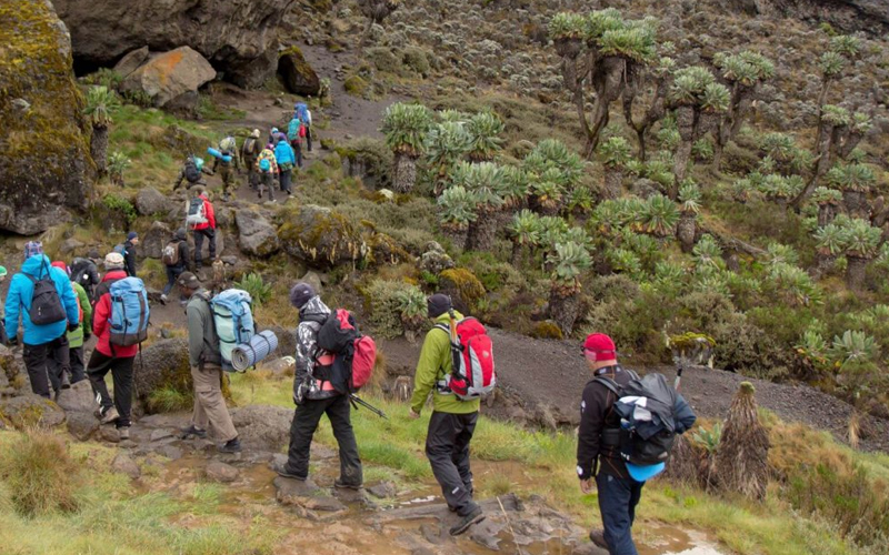 Can You Hike Kilimanjaro With Kids?
