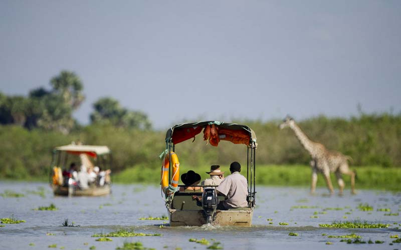 Explore Tanzania's Hidden Treasures: Off-the-Beaten-Path Safari Spots