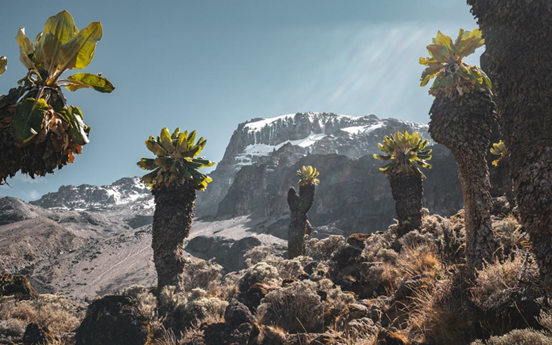 What Are The Facts About Mount Kilimanjaro?