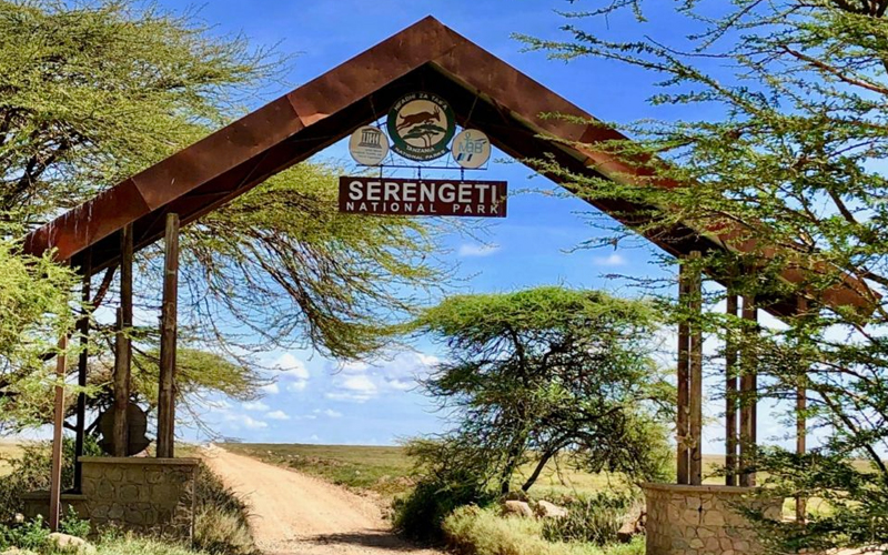 Why Is Serengeti A Top Tourist Attraction?