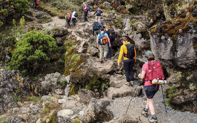 hike kilimanjaro