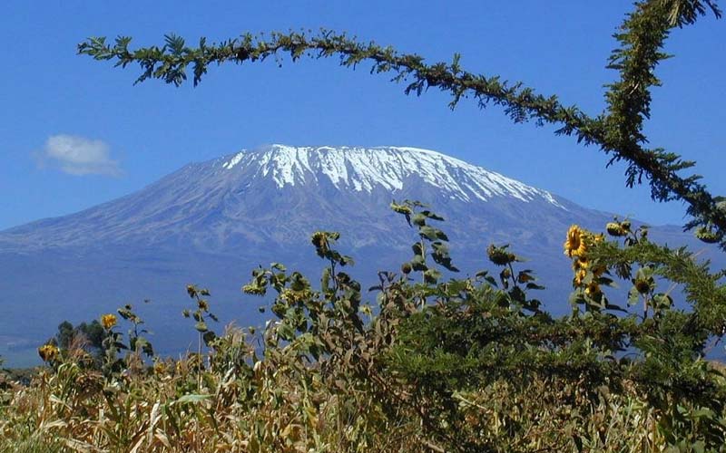 seasons in kilimanjaro