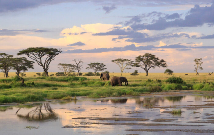Embrace the Rain Tanzania Wet Season Safari