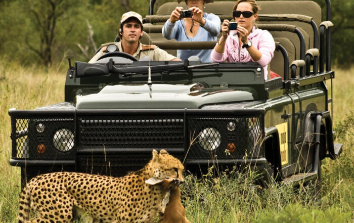 Experience the Thrill of a Game Drive Safari