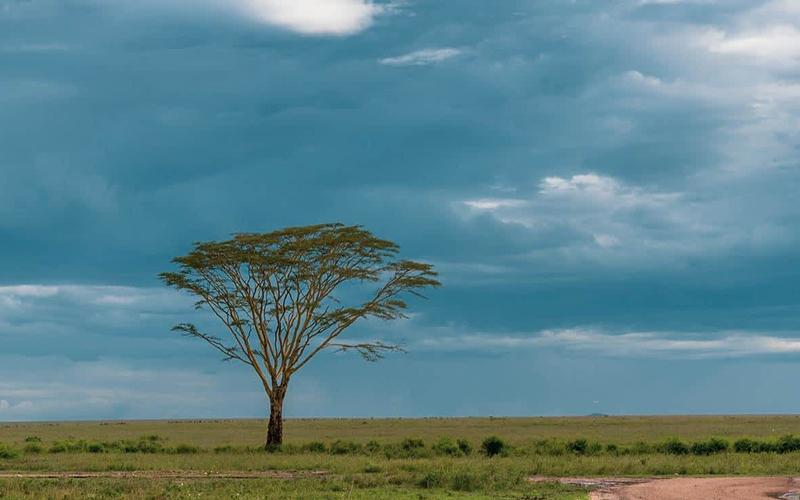 Thrills in the Dry Tanzania Dry Season Safari