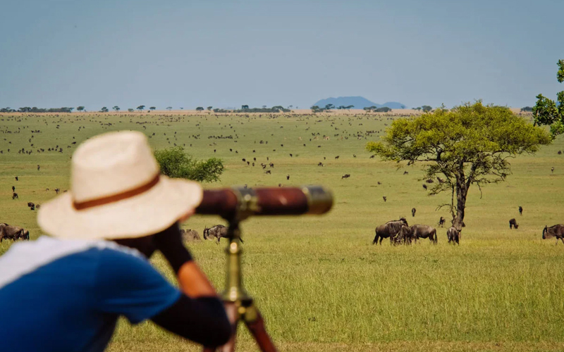 Thrills in the Dry Tanzania Dry Season Safari